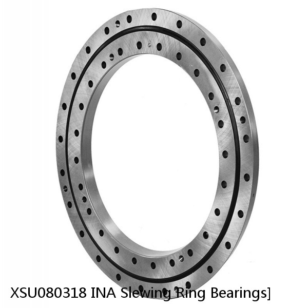 XSU080318 INA Slewing Ring Bearings