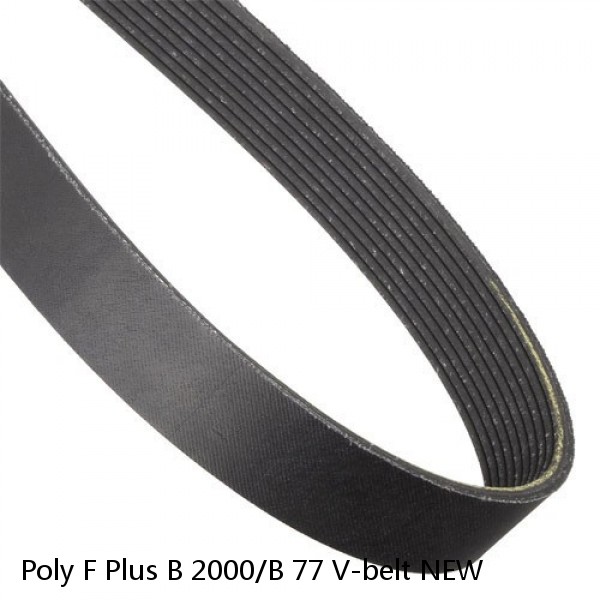 Poly F Plus B 2000/B 77 V-belt NEW