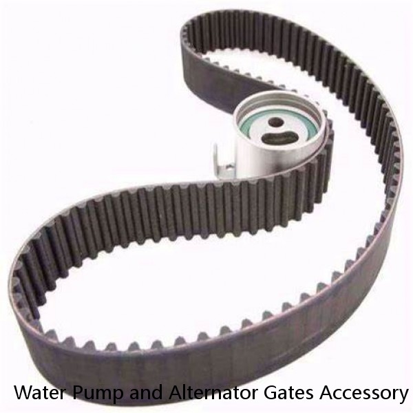 Water Pump and Alternator Gates Accessory Drive Belt Fits for J8C0 1988-1989