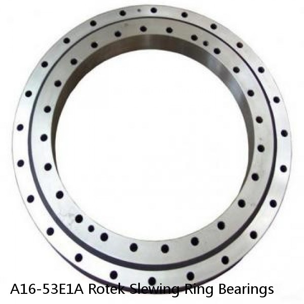 A16-53E1A Rotek Slewing Ring Bearings #1 small image