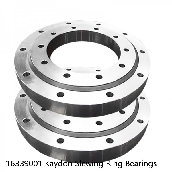 16339001 Kaydon Slewing Ring Bearings #1 small image