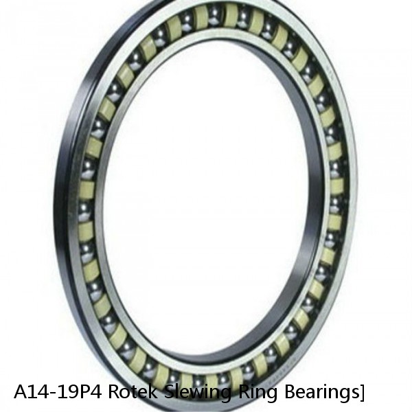 A14-19P4 Rotek Slewing Ring Bearings #1 small image