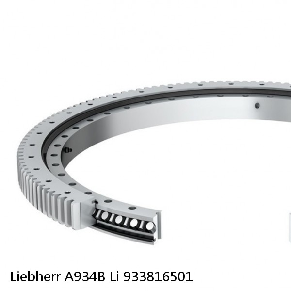 933816501 Liebherr A934B Li Slewing Ring #1 small image