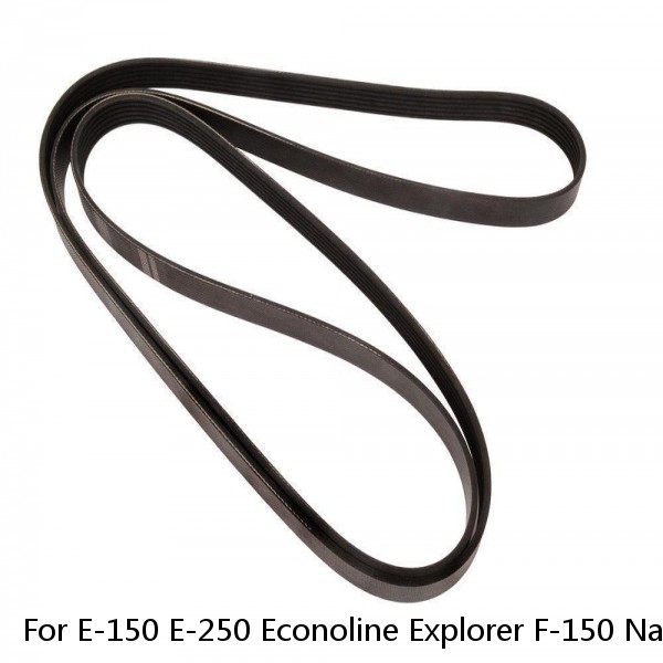 For E-150 E-250 Econoline Explorer F-150 Navigator V6 V8 Serpentine Micro V-Belt #1 small image