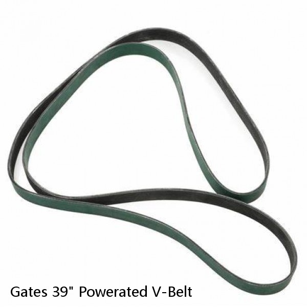 Gates 39" Powerated V-Belt #1 small image