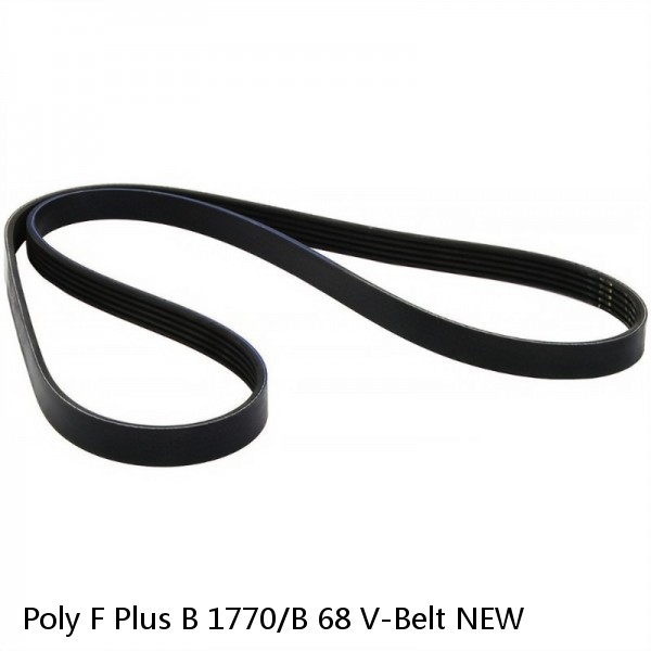 Poly F Plus B 1770/B 68 V-Belt NEW