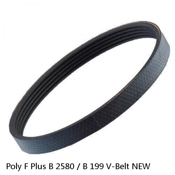 Poly F Plus B 2580 / B 199 V-Belt NEW #1 small image