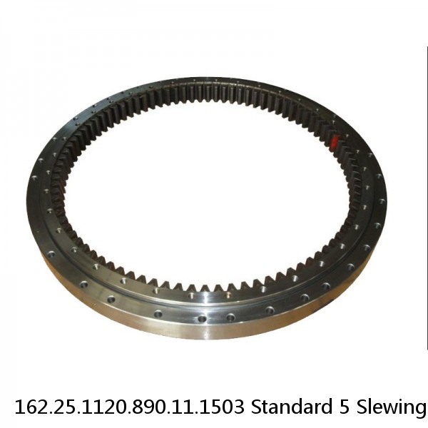 162.25.1120.890.11.1503 Standard 5 Slewing Ring Bearings #1 image