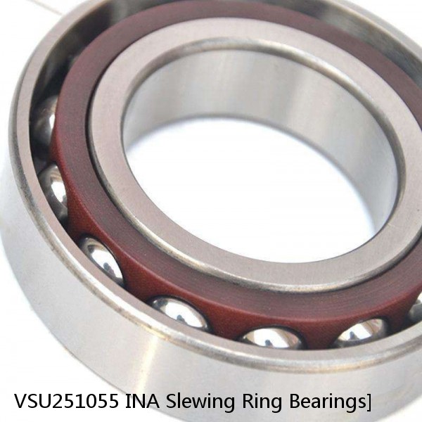 VSU251055 INA Slewing Ring Bearings #1 image