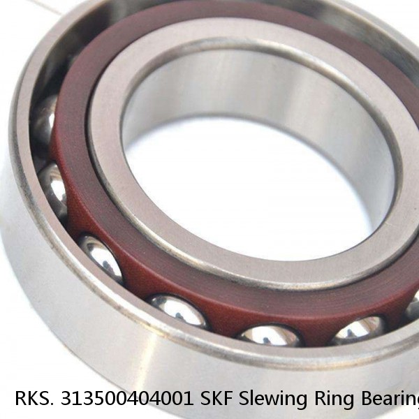 RKS. 313500404001 SKF Slewing Ring Bearings #1 image