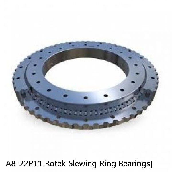 A8-22P11 Rotek Slewing Ring Bearings #1 image