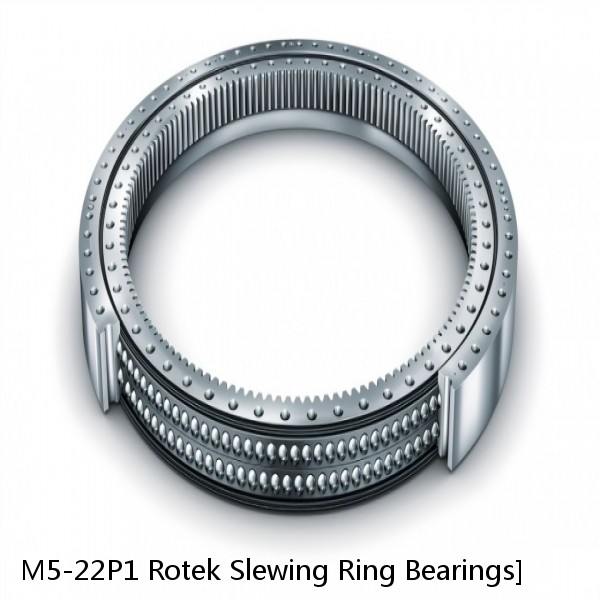 M5-22P1 Rotek Slewing Ring Bearings #1 image