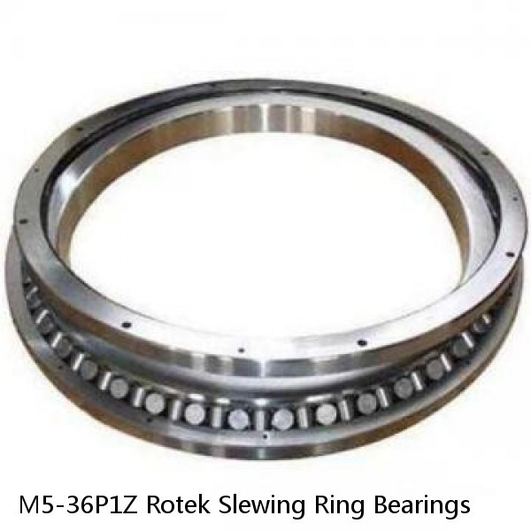 M5-36P1Z Rotek Slewing Ring Bearings #1 image