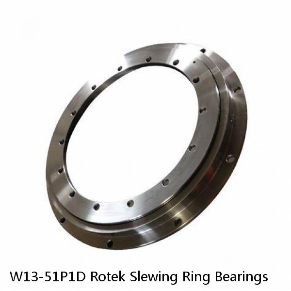 W13-51P1D Rotek Slewing Ring Bearings #1 image