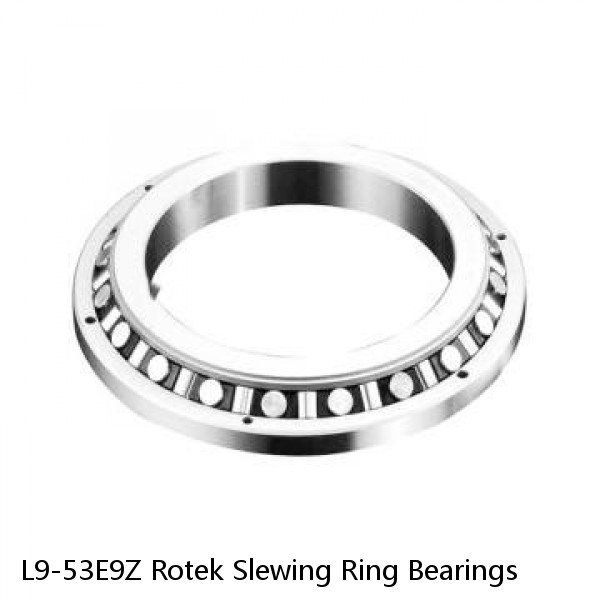 L9-53E9Z Rotek Slewing Ring Bearings #1 image