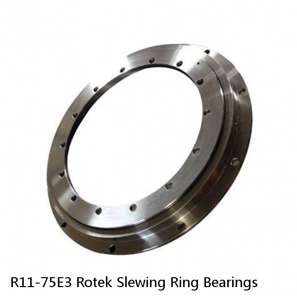 R11-75E3 Rotek Slewing Ring Bearings #1 image