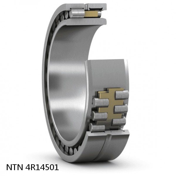 4R14501 NTN Cylindrical Roller Bearing #1 image