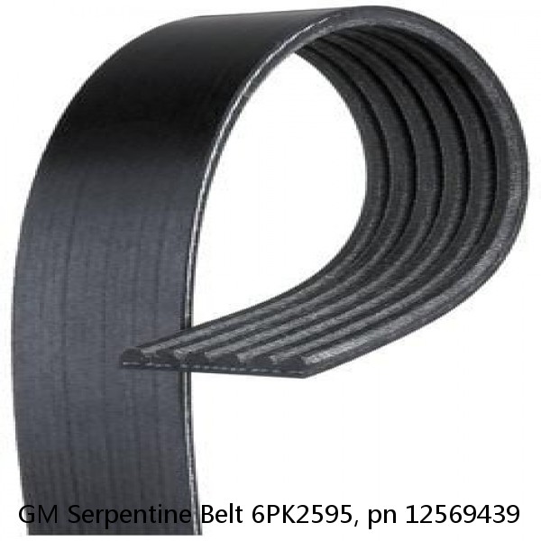 GM Serpentine Belt 6PK2595, pn 12569439 #1 image