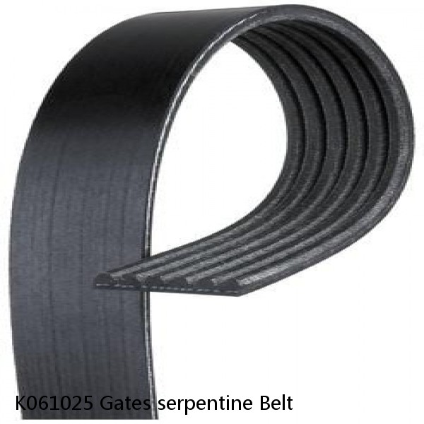 K061025 Gates serpentine Belt #1 image