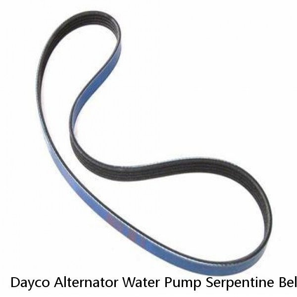 Dayco Alternator Water Pump Serpentine Belt for 2001-2005 Kia Rio Accessory ei #1 image