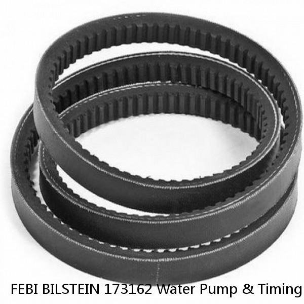 FEBI BILSTEIN 173162 Water Pump & Timing Belt Set for AUDI,SEAT,SKODA,VW #1 image